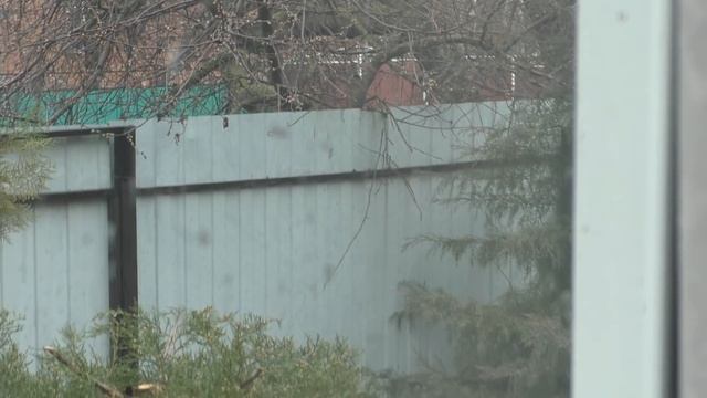 ПОГОДА ПРОТИВ / ПРИЗНАЕМ ОШИБКИ / планы по хоз двору. смотреть онлайн