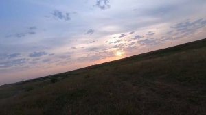 Охота с ягдтерьером на утку