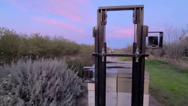 первые 40 семей забираем с садов миндаля смотреть онлайн