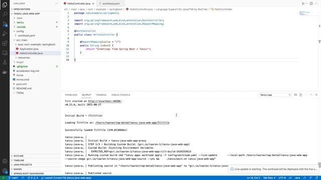 Overview: See the VMware Tanzu Application Platform Developer Experience смотреть онлайн