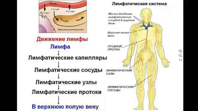 Биологический фильтр живого организма смотреть онлайн