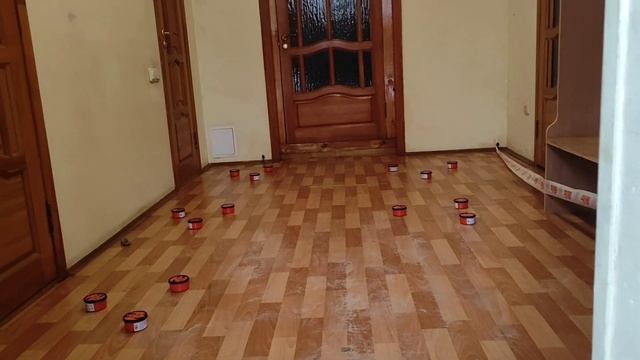 ЗИМА! Как искать собаке корицу на соревнованиях по правилам РАНВ? Ноузворк с бордер колли, Казань смотреть онлайн