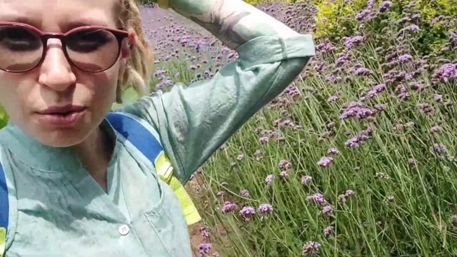 Наш отдых на Жёлтом и Южно-китайском море ) Бейдайхэ и Циньхуандао смотреть онлайн