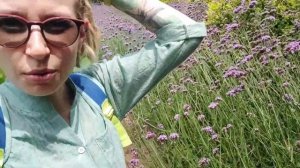 Наш отдых на Жёлтом и Южно-китайском море ) Бейдайхэ и Циньхуандао