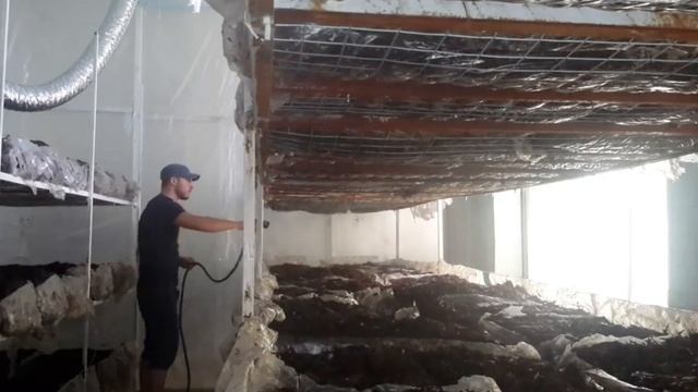 Выращивание Шампиньона.. Перегрев компоста.. 2 смотреть онлайн