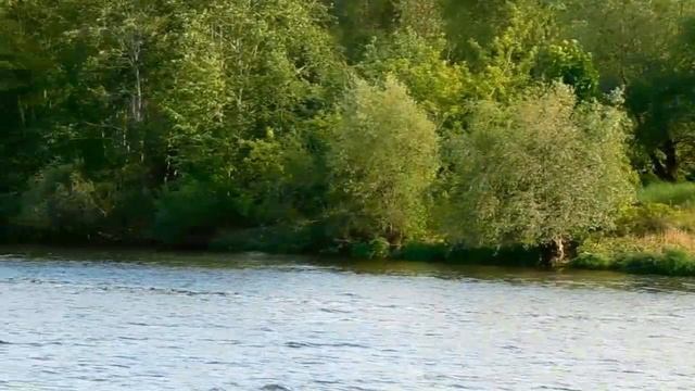 Панорамный рейс по Даугаве на прогулочном кораблике «Vecrīga» смотреть онлайн