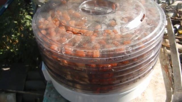 Изготовление изюма