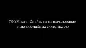 «Покажи мне счастье». История-фанфик (Т/И и Северус). серия 6. Взаимоотношения с Северусом.