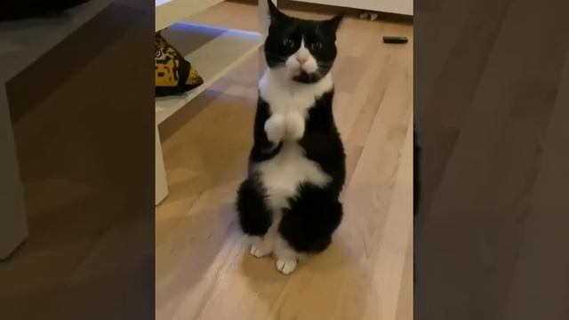 Когда очень хочется кушать смотреть онлайн