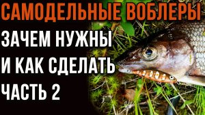 Самодельные воблеры. Зачем нужны и как сделать. Часть 2