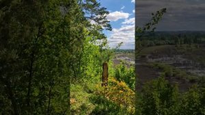 Лес нашли логово лешего. Forest found the den of the goblin.