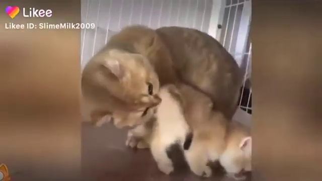 Лежу почистил Да будешь с ней Ой мне кажется что это был не рад смотреть онлайн