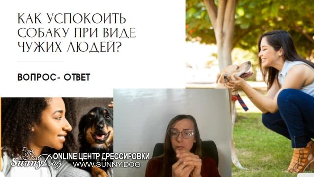 Как отучить собаку бежать к людям и собакам. Отучаем реагировать на людей смотреть онлайн