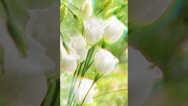 Мощный заряд энергии. Музыка, которая вдохновляет, очень красивая и позитивная. смотреть онлайн