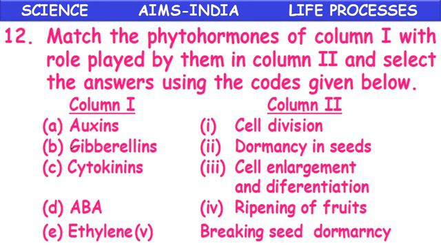 10TH | BIOLOGY | LIFE PROCESSES | OLYMPIAD WORK SHEET | AIMS INDIA смотреть онлайн