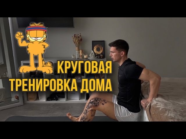 Как Тренироваться Дома? Базовая Круговая Тренировка Дома смотреть онлайн