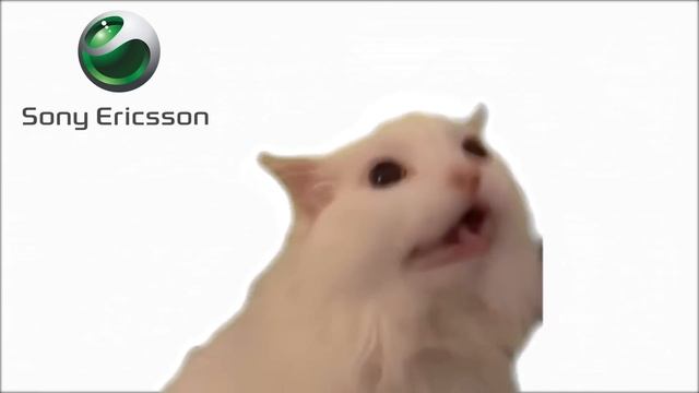 Cat MEOW, but famous phone ringtones смотреть онлайн