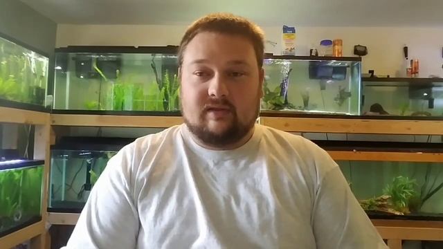 Cloudy aquarium water - how to fix it! смотреть онлайн