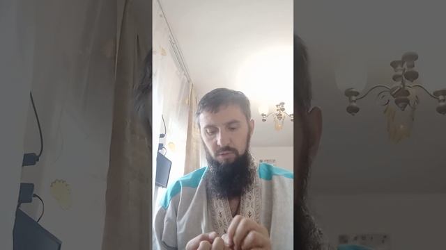 09 10 2022 Знания Менора смотреть онлайн