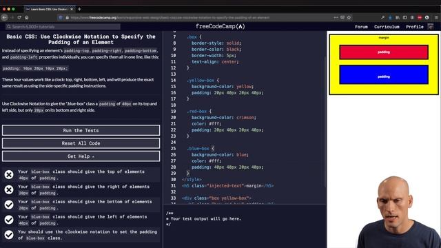 freeCodeCamp Basic CSS - Responsive Web Design Certification 2020 смотреть онлайн