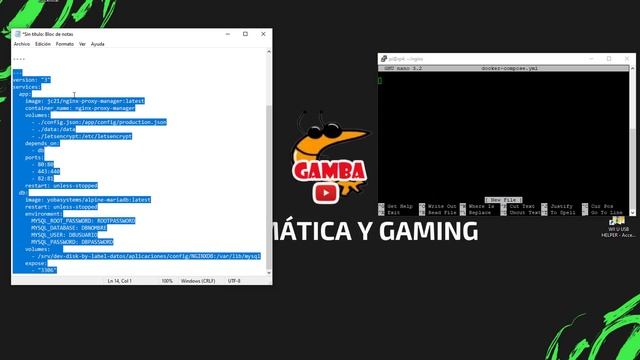 ? Instalar NGINX PROXY MANAGER en una RASPBERRY Pi 4 смотреть онлайн