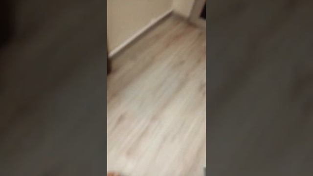 Как научиться метать карты лисов Назар смотреть онлайн