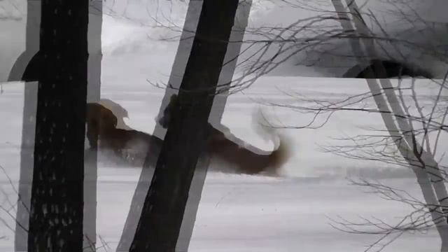 Коммунальный рай без хлопот и забот...