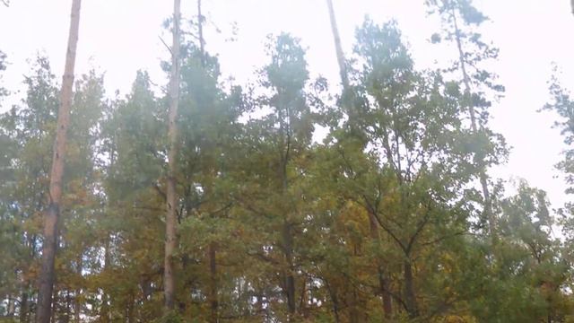 Аляксей Галіч - Пливе кача смотреть онлайн