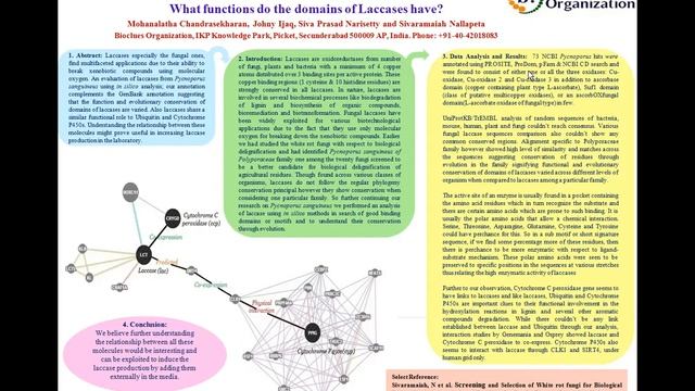 Laccase presentation at BSB'13 by MOHANALATHA CHANDRADESKHARAN смотреть онлайн