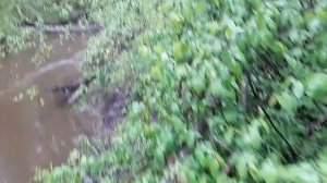 Ловля миноги