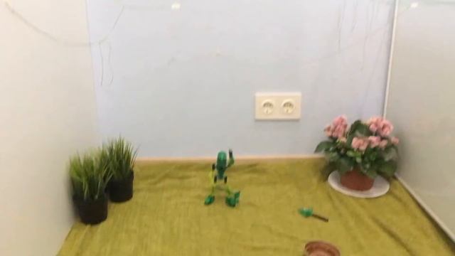 [Часть пятая] ТОА МАТА ЛИВА. анимация смотреть онлайн