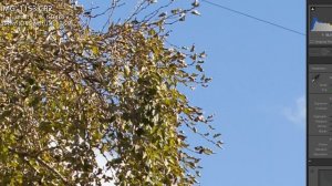 Обзор Canon EF 35mm f/1.4L II USM от Фотосклад.ру