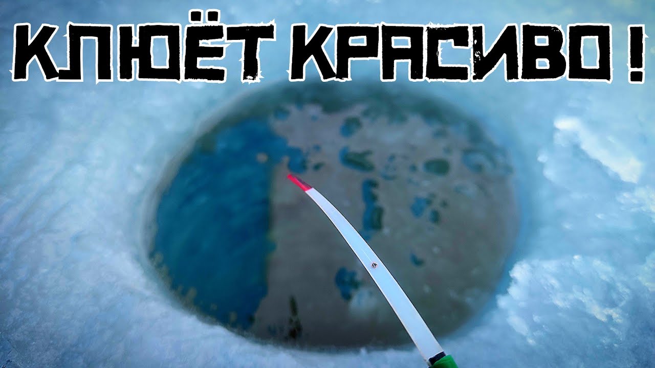 АНИСОВАЯ манка ВЫРУЧАЕТ! ЗАКОРМИЛ ручей и ПОНЕСЛАСЬ! Плотва клюёт КРАСИВО! смотреть онлайн