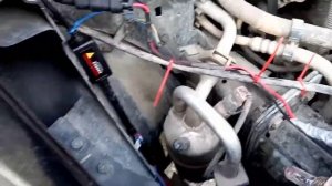 Форд Фьюжн,ксенон в протевотуманки ?