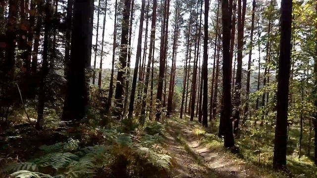 НА Х~ТРЕЙЛЕ ПОД ГОРУ ,ЛЕСНАЯ ДОРОГА К ПРУДУ ,,КАРАГАЙ,, !!! смотреть онлайн