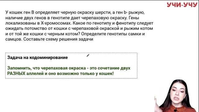 Решение сложных генетических задач | Биология ЕГЭ | Учи-Учу смотреть онлайн