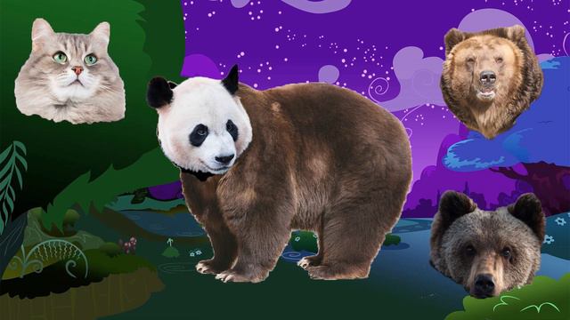 Cute Animals Bear Cat Panda Fun Puzzle смотреть онлайн