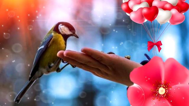 С Днём Доброты! 17 февраля - День спонтанной Доброты. Красивая музыкальная открытка. смотреть онлайн