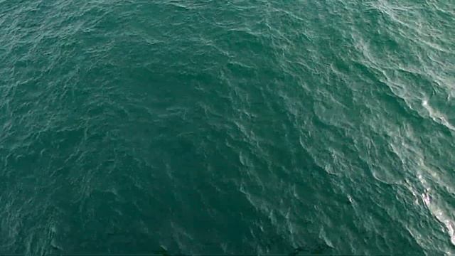 Сумаcшедшая Рыбалка на СКУМБРИЮ/Mackerel Fishing, Balboa Pier, California