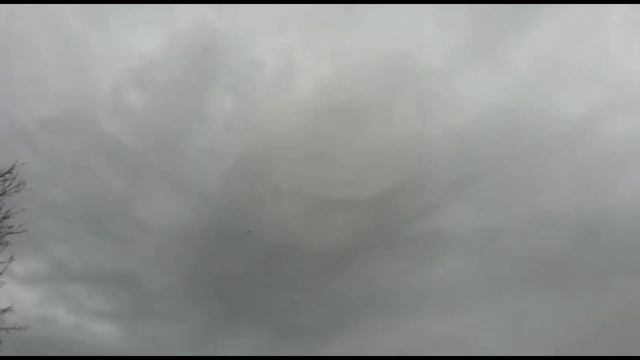 Вечерний Гон Лёт и Игра Голубей. Двухчубые голуби. Tauben. Pigeons смотреть онлайн