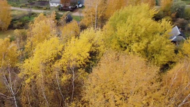 Венский вальс осени