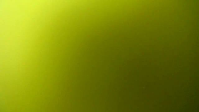 Что происходит под водой!!! смотреть онлайн