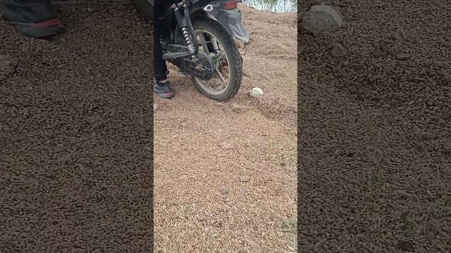 Стант, дрифт на Альфе #стант #мотоцикл #shortsvideo #альфа #мотожизнь #мотоциклы #бернаут смотреть онлайн