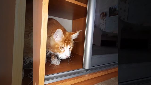 🔵Поучительная история для детей: Секрет смотреть онлайн