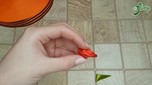 Георгиевская брошь к 9 мая своими руками | цветок канзаши | мастер класс | DIY | kanzashi