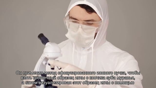 Как маленькие муравьи разрезают большие ветки: раскрыт секрет уникальных зубов смотреть онлайн
