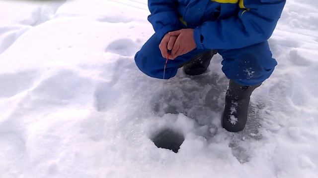 Рыбалка 2019 по правилам рыболовства смотреть онлайн