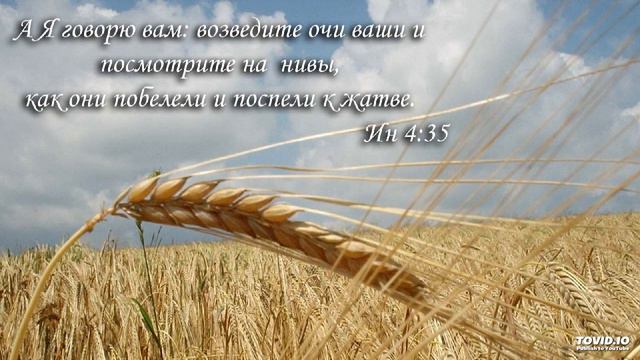 знаешь ли ручей,что бежит(лучшая гармония) смотреть онлайн