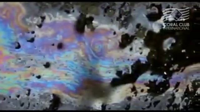 ОТЛИЧНАЯ ВОДА ДЛЯ НАШЕГО ЗДОРОВЬЯ!!! смотреть онлайн