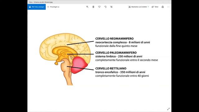 Entrevista com Graziella Concetta Freni® смотреть онлайн